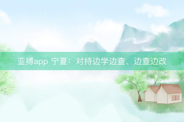 亚搏app 宁夏：对持边学边查、边查边改