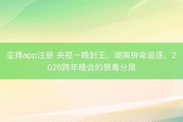 亚搏app注册 央视一晚封王，湖南拚命追逐，2026跨年晚会的狠毒分层