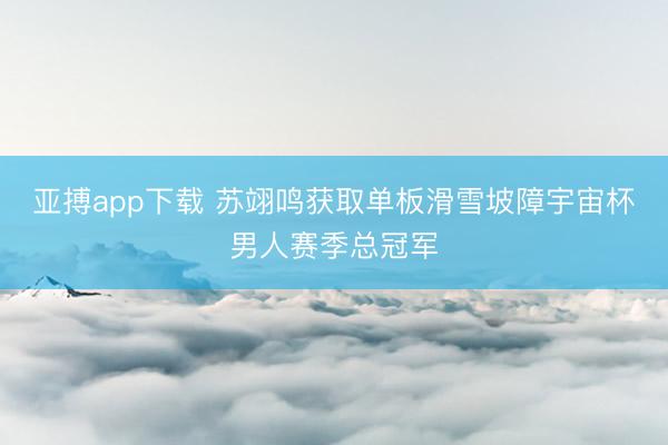 亚搏app下载 苏翊鸣获取单板滑雪坡障宇宙杯男人赛季总冠军