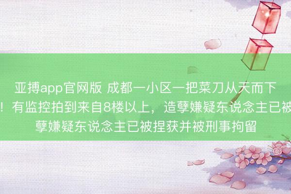 亚搏app官网版 成都一小区一把菜刀从天而下，陨落儿童游乐区！有监控拍到来自8楼以上，造孽嫌疑东说念主已被捏获并被刑事拘留